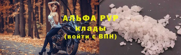сатива Бородино