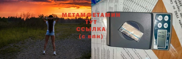 сатива Бородино