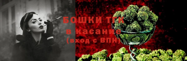 дживик Бронницы