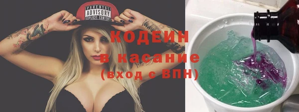 сатива Бородино