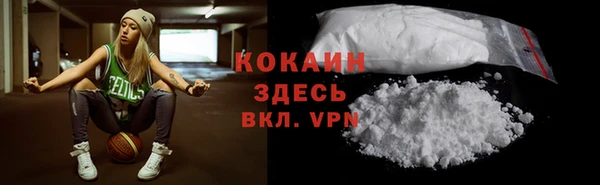 дживик Бронницы