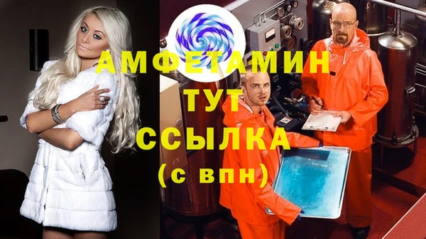 сатива Бородино