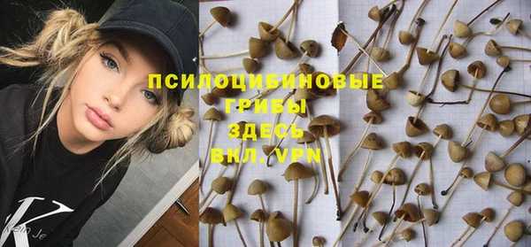 сатива Бородино