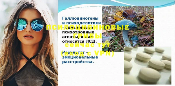 сатива Бородино