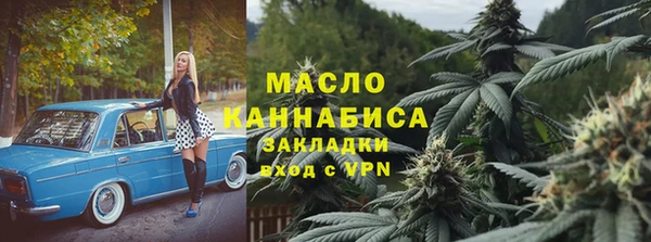 сатива Бородино