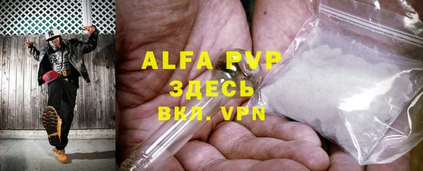 сатива Бородино