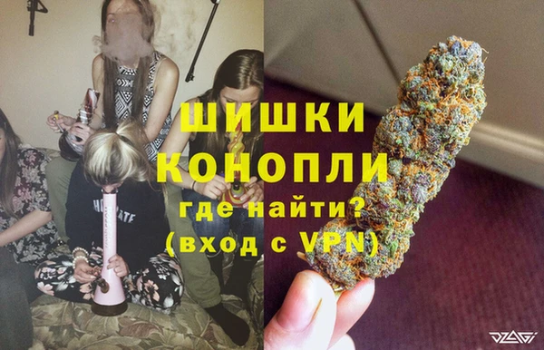 сатива Бородино