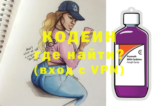 дживик Бронницы