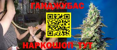 амф Славгород