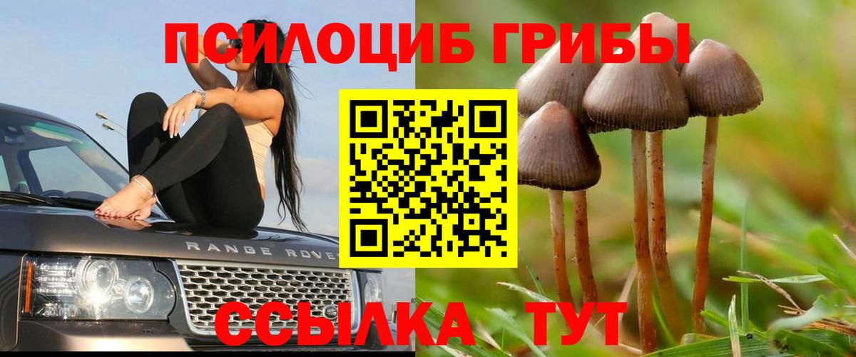 Псилоцибиновые грибы прущие грибы Северобайкальск