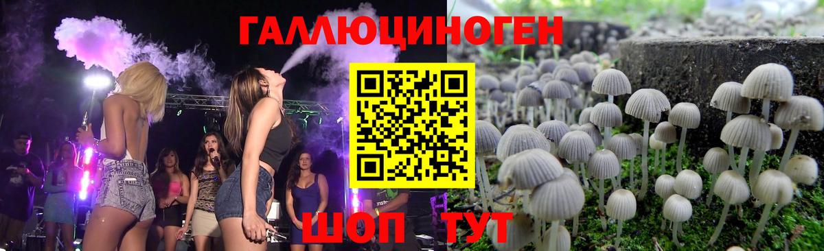 сколько стоит  Псилоцибиновые грибы Psilocybine cubensis  Вход с VPN  Северобайкальск 