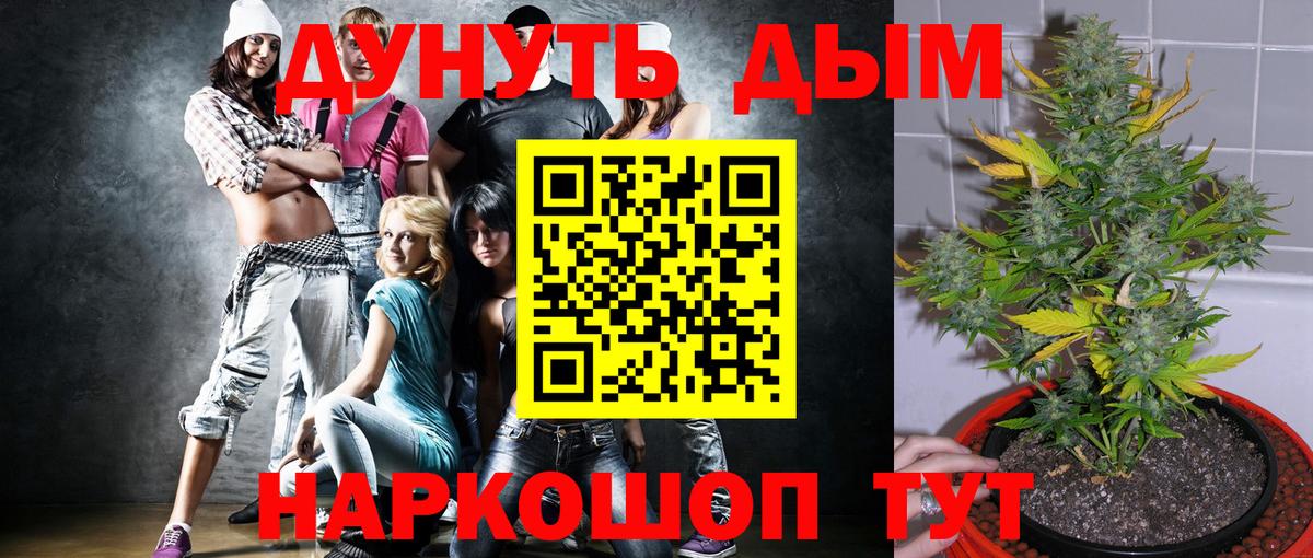 Шишки марихуана семена Северобайкальск